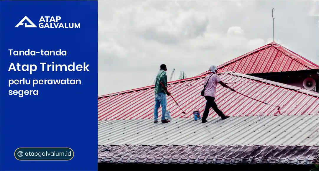 Tanda-Tanda Atap Trimdek Perlu Perawatan Segera