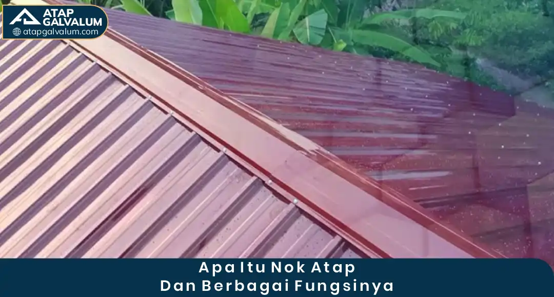 Apa Itu Nok Atap dan Berbagai Fungsinya