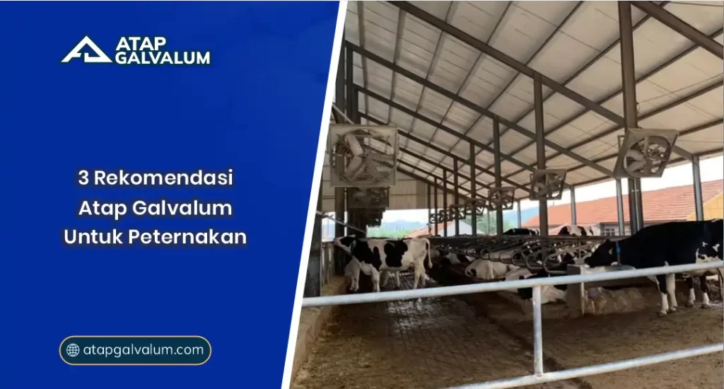 01 3 Rekomendasi Atap Galvalum Untuk Peternakan