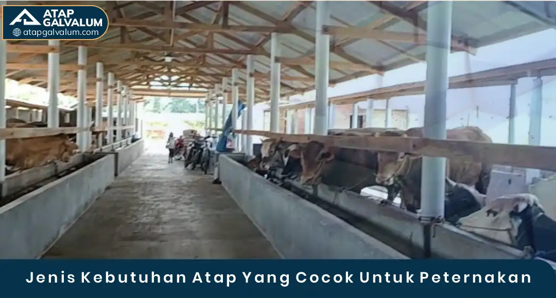 02 Jenis Kebutuhan Atap Yang Cocok Untuk Petrnakan