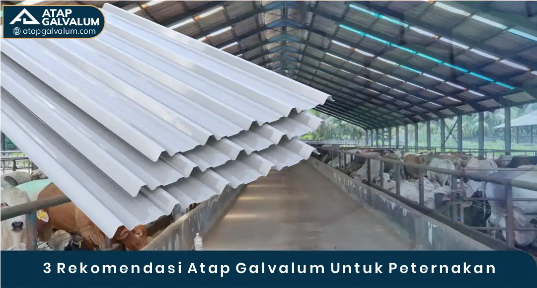 03 3Rekomendasi Atap Galvalum Untuk Peternakan